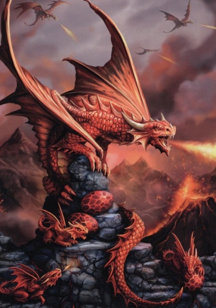 Fire Dragon Greeting Card