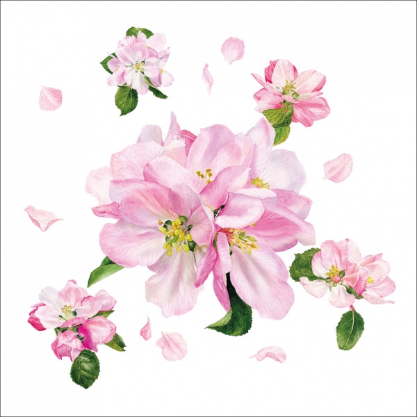 Apple Blossom Dance Greeting Card