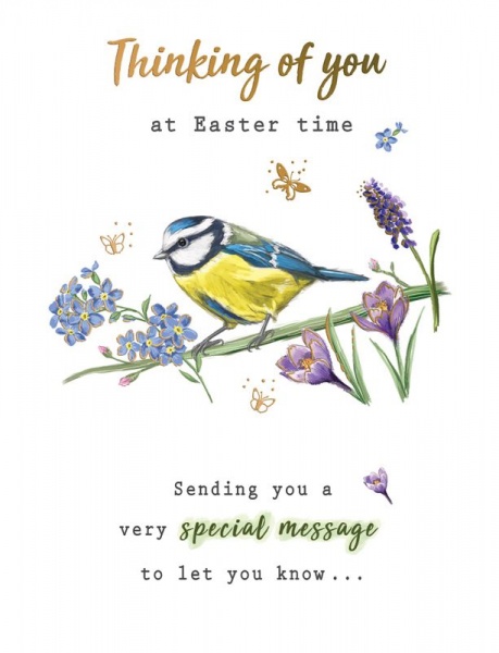 Blue Tit Easter Card