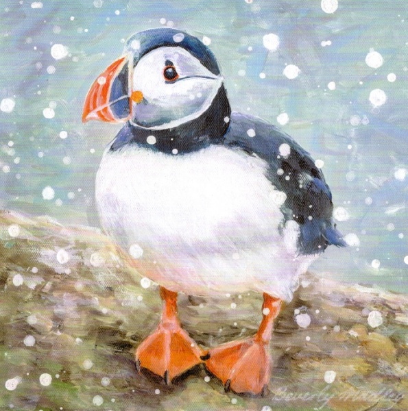 Puffin In Snow & Winter Hare Christmas Cards Pack Of 10