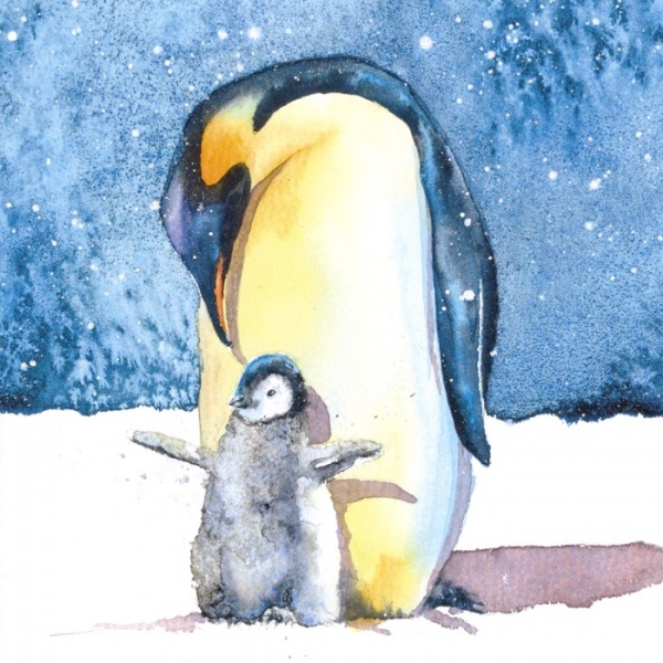 Penguins & Polar Bears Christmas Cards Pack Of 10