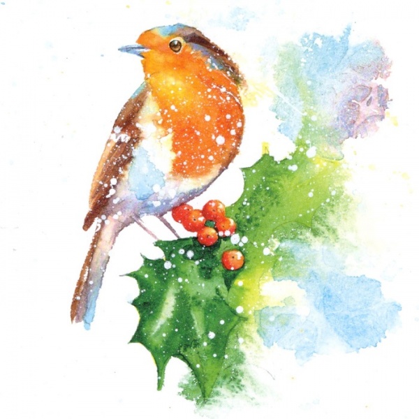 Robin & Snowdrops Christmas Cards Pack Of 10