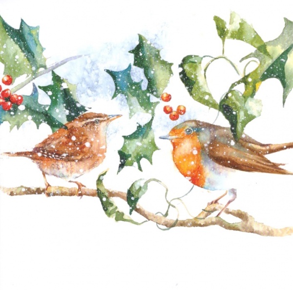 Wren and Robin & Blue Tit and Great Tit Christmas Cards Pack Of 10