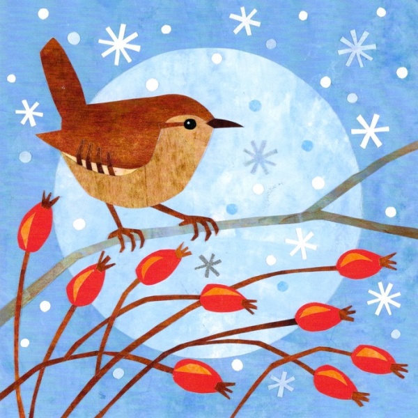 Wren & Barn Owl Christmas Cards Pack Of 10