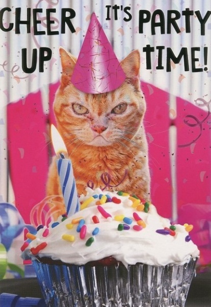 Cheer Up Birthday Card