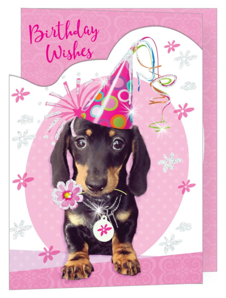 Avanti Press Three Dogs With Pink Balloons Birthday Card - Funny Card For Women