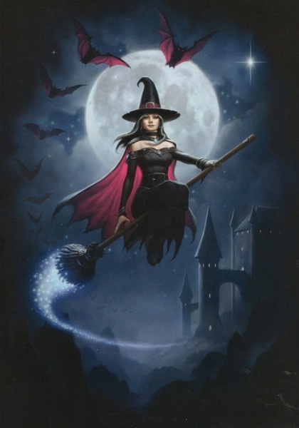 Witch Flight Greeting Card