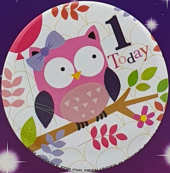 Owl 1st Birthday Badge