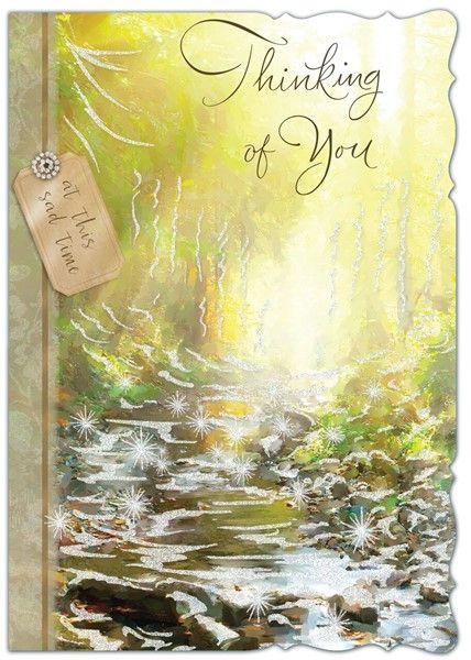 Feathers Sympathy Thinking Of You Card