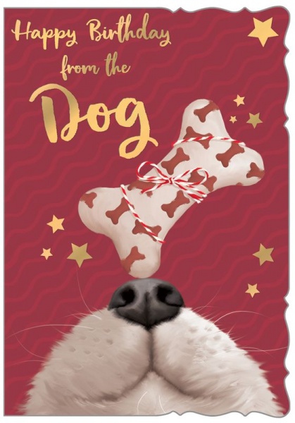 From The Dog Birthday Card