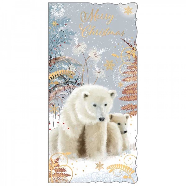 Arctic Bear Christmas Cards Pack Of 12