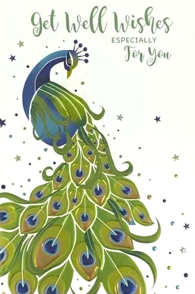 Peacock Get Well Card