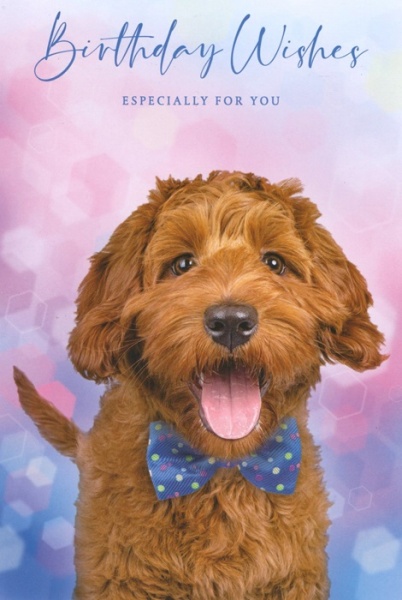 Bow Tie Puppy Birthday Card