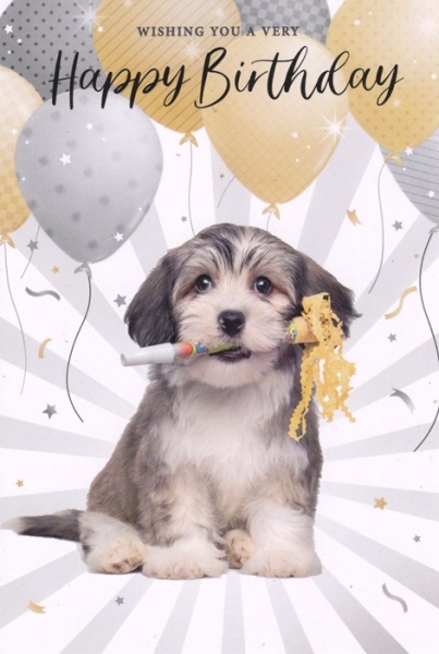 Party Puppy Birthday Card