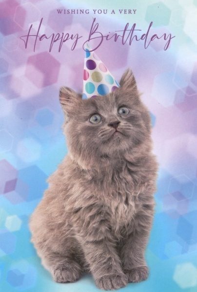 Party Hat Cat Birthday Card