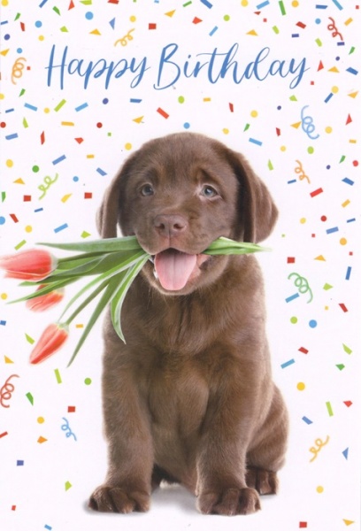 Tulips Puppy Birthday Card