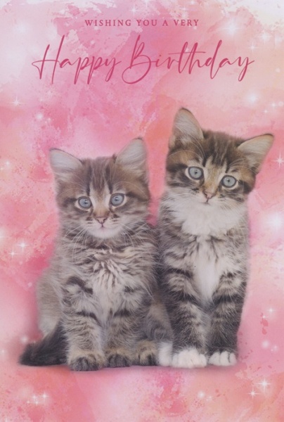 Kittens Birthday Card