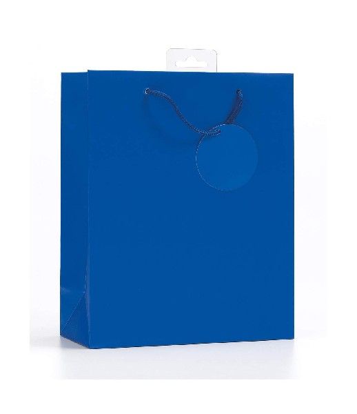 Blue Gift Bag