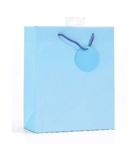Pale Blue Gift Bag