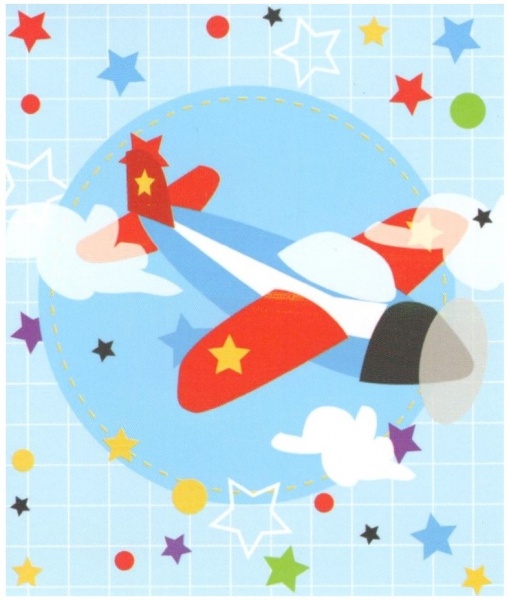 Airplane Gift Tag