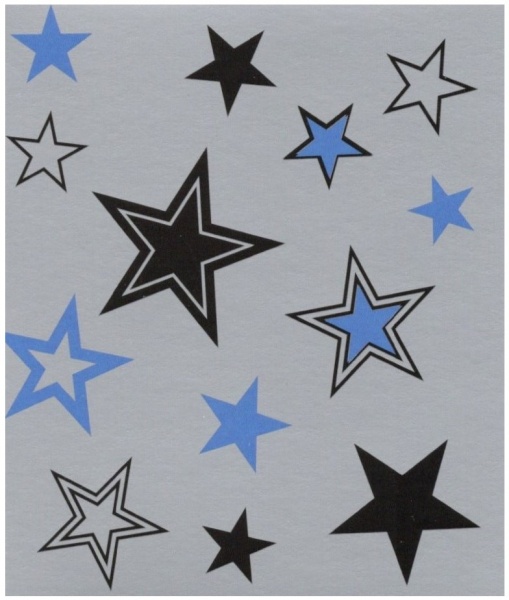 Blue Stars On Silver Gift Tag