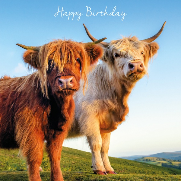 Personalised Highland Cow Birthday Card – Handmade For Wife, Daughter, Sister, Niece, Friend – OpalDesigns