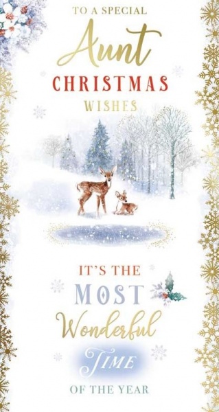 The Most Wonderful Time Aunt Christmas Card