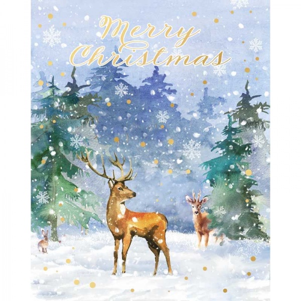 A Snowy Morning Christmas Cards Pack Of 24