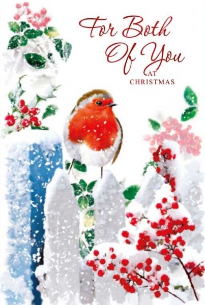 Robin Both Of You Christmas Card