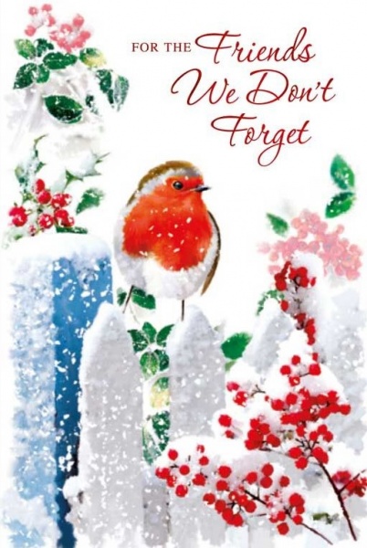 Robin Friends We Don't Forget Christmas Card