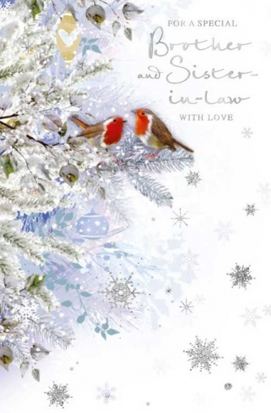 Robins Brother & Sister-In-Law Christmas Card