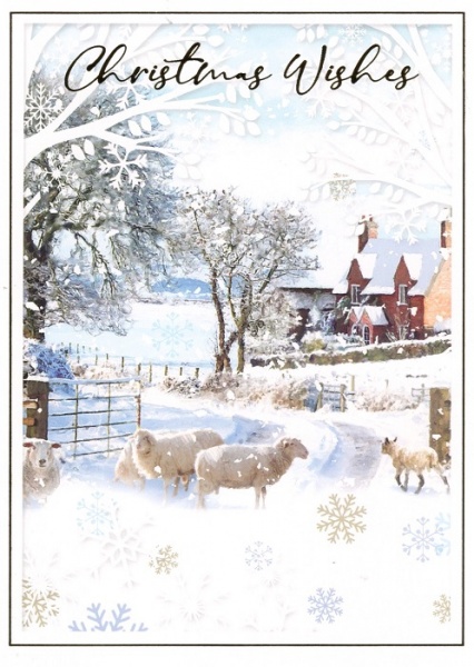 Sheep & Winter Stream Christmas Cards Pack Of 14