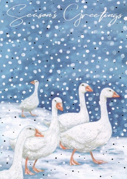 Geese & Robin Christmas Cards Pack Of 14