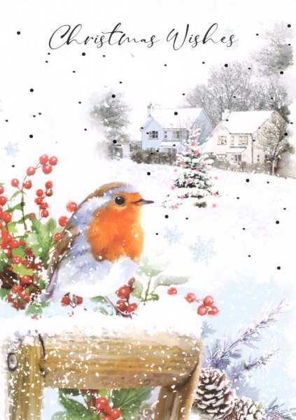 Robins Christmas Cards Pack Of 14