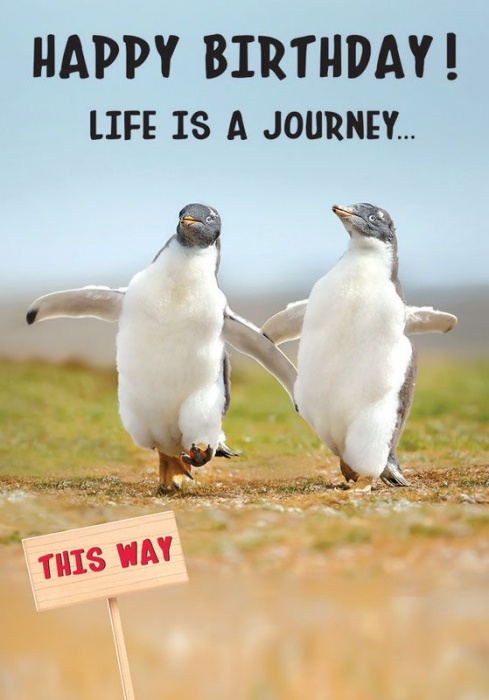 Life Is A Journey Humorous Birthday Card