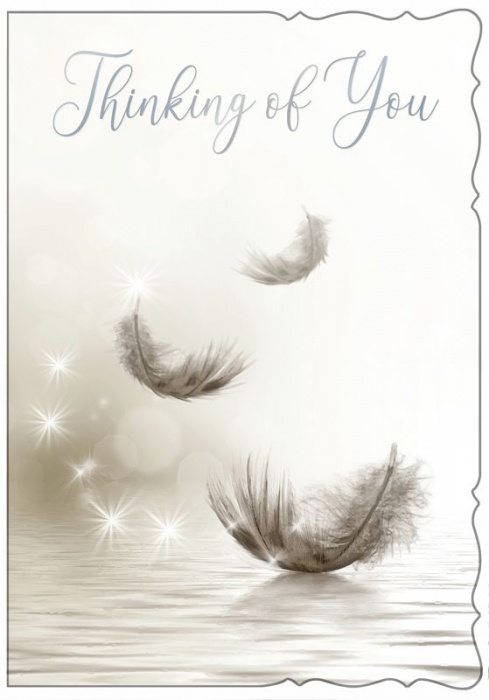 Feathers Sympathy Thinking Of You Card